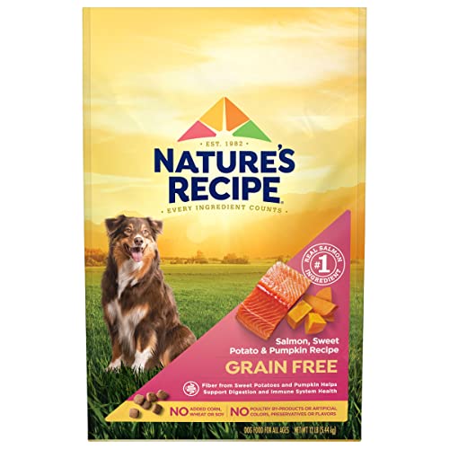  Nature's Recipe Grain Free Dry Dog Food, Salmon, Sweet Potato & Pumpkin Recipe, 12 Pound Bag, Easy To Digest