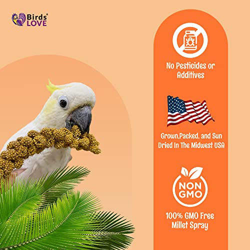  Birds LOVE Wholesome & Lovely Spray Millet Non-GMO No Pesticide (No Stems Only Edible Tops) For Parrots Birds Cockatiel Lovebird Keets Finch Canary All Parrots Healthy Treat-5lbs…