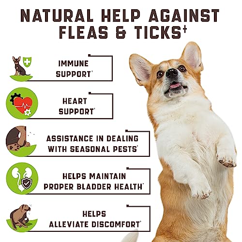  Flea And Tick Prevention Chewable For Dogs - No Collars, No Mess - Easy Help With Flea And Tick For Dogs - American Quality - For All Breeds And Ages - Duck-Flavored Treats - 180 Flea Chews For Dogs