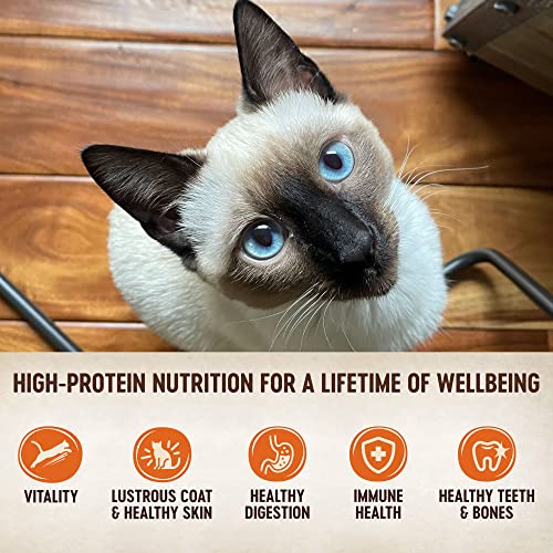  Wellness CORE Grain-Free Wet Kitten Food, Natural Canned Food For Cats, Made With Real Meat (Kitten, Turkey & Chicken Liver, 3 Oz Can, 12 Pack)