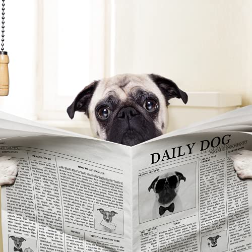  680 Dog Poo Bags On Roll With Holder Black Dog Poo Bags Without Tie Handles Poo Bags For Dogs, Dog Waste Bag Measures 12 X 37 Cm - Black Dog Poo Bag- Doggy Bags 2 X Holder Included (Blue)