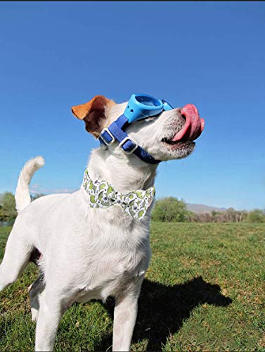  ARING PET Bowtie Dog Collar, Dog Collar With Bow, Adjustable Dog Collars For Small Medium Large Dogs.