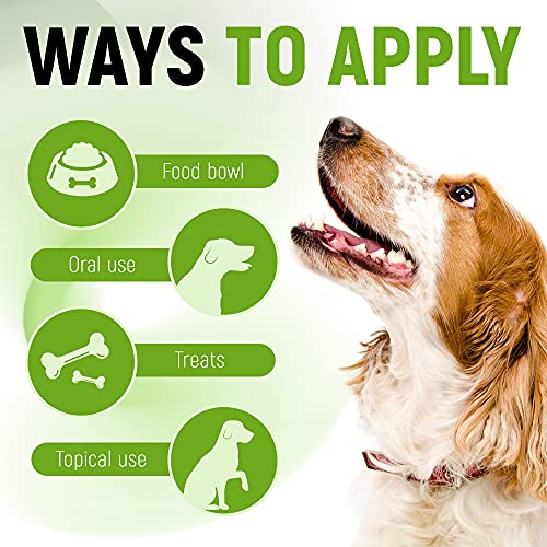  Probiotic For Dogs With Natural Digestive Enzymes. A Prebiotics + Digestive Enzyme Product For Dogs + Pumpkin. 120 Servings. Diarrhea & Upset Stomach Relief + Gas, Constipation, And Allergy Relief.