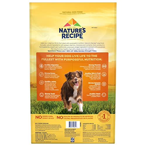  Nature′s Recipe Dry Dog Food, Grain Free Chicken, Sweet Potato & Pumpkin Recipe, 24 Lb. Bag
