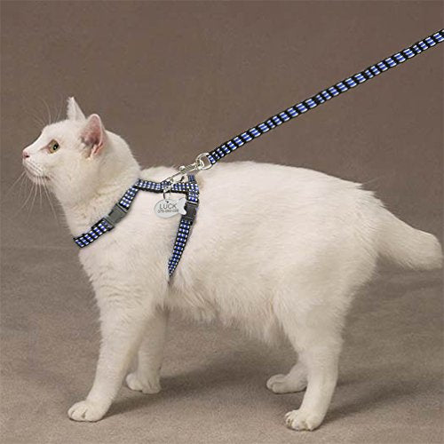  Kuntrona Nylon Cat Harness And Leash Set Customized Cats Kitten Harnesses With Id Tag Anti Lost Name Tag Blue S