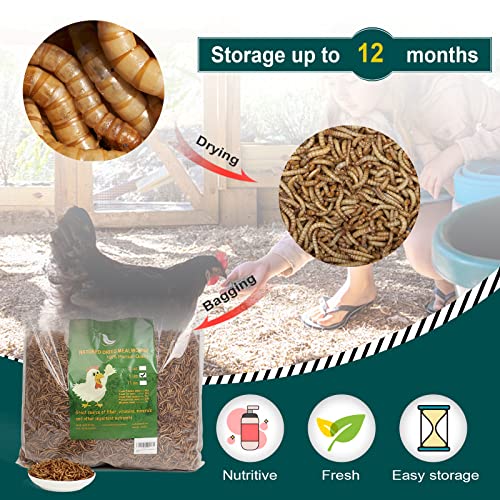  WORKPOINT 22LBS Dried Mealworms For Chickens, 100% Natural Premium Quality Non-GMO, Treats For Poultry, Chickens, Ducks And Geese
