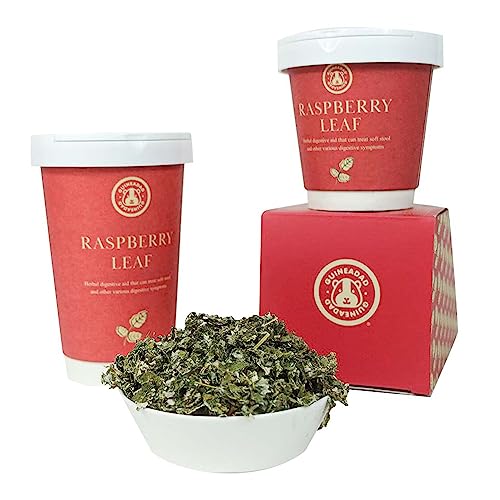  GuineaDad Organic Guinea Pig Herbal Treats - Guinea Pig Food With Convenient Packaging - Raspberry Leaf Flavor - 2-oz - Guinea Pig Treats Help With Bonding - High In Nutrition And Fiber - Large