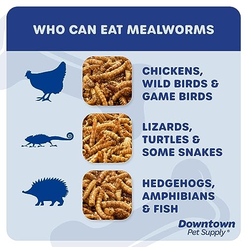  Downtown Pet Supply 2 LB Dried Mealworms For Wild Birds, Poultry, Reptiles, And Small Mammals Rich In Vitamin B12, B5, Protein, Fiber, Omega 3 Fatty Acids - Great As Mealworms For Chicken
