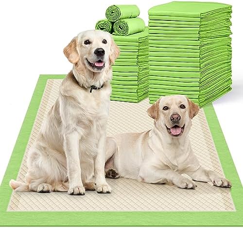  MIZOK Bamboo Dog Pads Odor Eliminating 36x36in XXXL Dog Training Pads, 11 Cups Super Absorbent Leak-Proof Dog Pee Pads With Adhesive Tabs, Disposable Green Color (30 Counts)