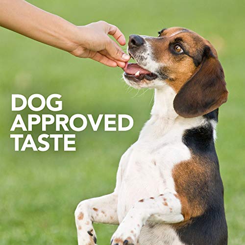  Vet's Best Probiotic Soft Chews Dog Supplements | Supports Dog Digestive Health | Promotes A Healthy Gut | 30 Day Supply