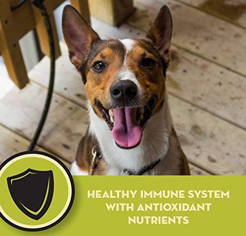  AvoDerm Natural Lamb Meal & Brown Rice Recipe Dry Dog Food, For Allergy Support, 26 Lb