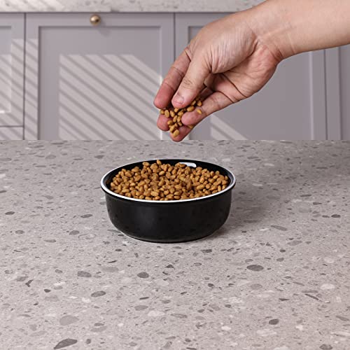  GDCZ Ceramics Raised Small Dog Or Cat Bowls For Pet Food 15 Ounces (Black)