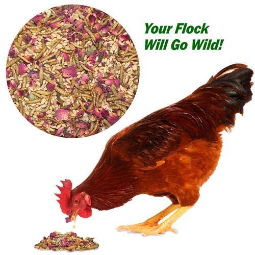  Exotic Nutrition Bee-Tastic - Healthy All-Natural Chicken Treat - Dried Insects, Flowers, Herbs Wheat Berries & Bee Pollen - Promotes Healthy Chickens & Eggs (1.5 Lbs)