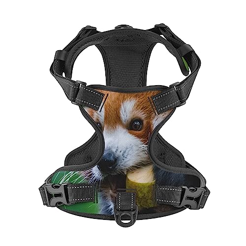  Pet Dog Vest Harness Set Red Panda Eat Food Dog Harness For Small Medium And Large Dogs