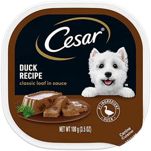  CESAR WHOLESOME BOWLS Adult Soft Wet Dog Food Toppers Beef, Chicken, Purple Potatoes & Carrots Recipe, (10) 3 Oz. Bowls