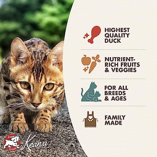  Fromm Four-Star Nutritionals Duck A La Veg Cat Food - Premium Dry Cat Food - Duck Recipe - 4 Lb