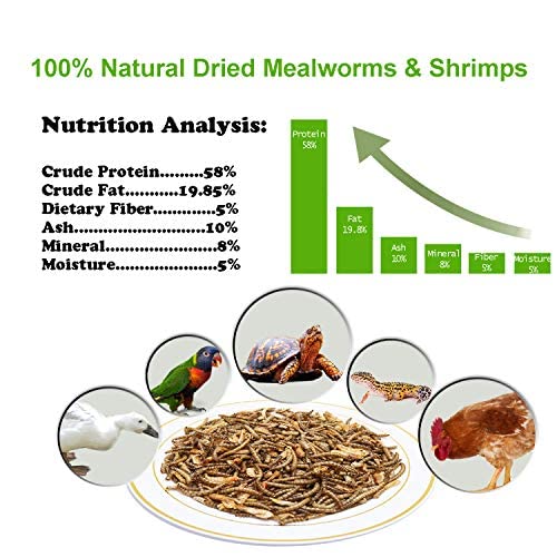  Appetizing Mealworms With Dried River Shrimp (8oz) All Natural 100% Non-GMO,Surf & Turf, Chicken, Fish, Ducks, Wild Birds, Turtles, Hamsters, Fish, And Hedgehogs