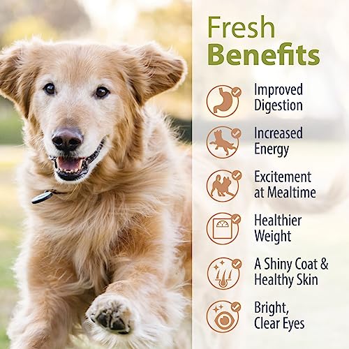  JustFoodForDogs Pantry Fresh Dog Food, Human Grade Lamb & Brown Rice (12 Pack)