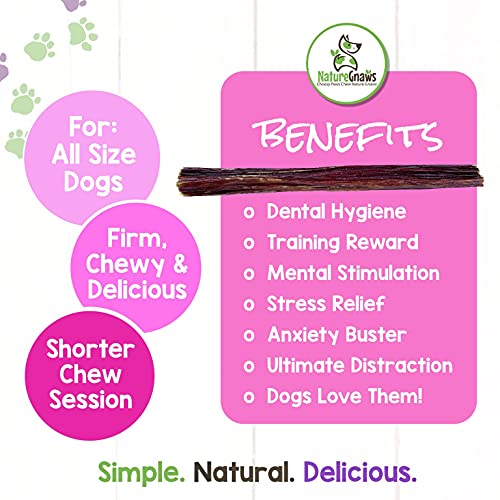  Nature Gnaws Beef Jerky Sticks For Dogs - Premium Natural Beef Gullet Bones - Simple Single Ingredient Tasty Dog Chew Treats - Rawhide Free - 5-6 Inch (8 Oz)