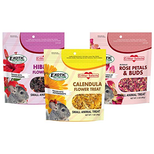  Exotic Nutrition Flower Treat 3 Pack - Healthy Assortment - Hibiscus, Calendula, Rose - For Squirrels, Guinea Pigs, Rabbits, Chinchillas, Prairie Dogs, Degus, Hamster, Gerbils, & Other Herbivores