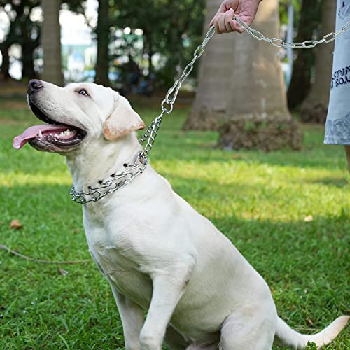  25 Ft Dog Chains For Outside - Heavy Dog Tie Out Chain Leash Great For Small To Large Dogs Up To 125Lbs - Chew Proof Long Dog Leash Chain Dog Chain For Yard Camping Or Travel