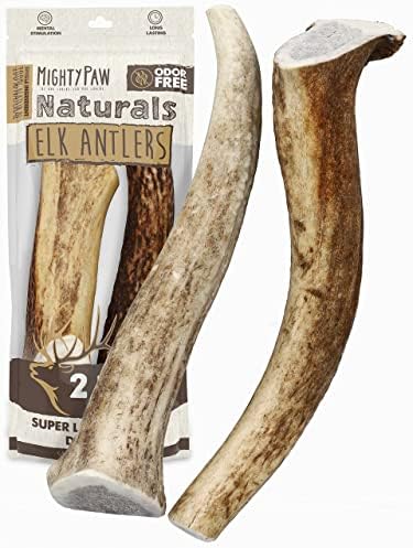  Mighty Paw Elk Antlers For Dogs | Medium Size 6" Premium Deer Antlers For Dogs, Pets And Puppies. Long Lasting Deer Antler Dog Chew For Aggressive Chewers. Dog Antler Chews For Large And XL Dog (2pk)