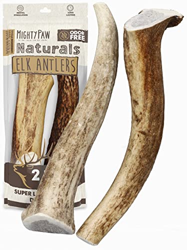  Mighty Paw Elk Antlers For Dogs | Medium Size 6" Premium Deer Antlers For Dogs, Pets And Puppies. Long Lasting Deer Antler Dog Chew For Aggressive Chewers. Dog Antler Chews For Large And XL Dog (2pk)
