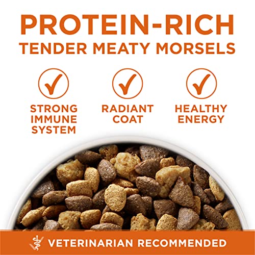  Purina ONE Plus Healthy Weight High-Protein Dog Food Dry Formula - 31.1 Lb. Bag
