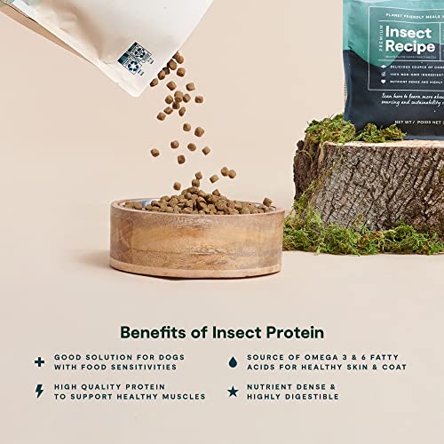  Open Farm Kind Earth Insect Based Dry Dog Kibble, Natural Source Of Complete Protein, Nutrient-Dense, Highly Digestible, Hypoallergenic, Lower Carbon Footprint (3.5 Pound Pack Of 1)
