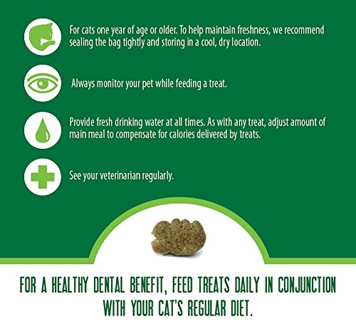  FELINE GREENIES Natural Dental Care Cat Treats Catnip Flavor, 5.5 Oz. Pack