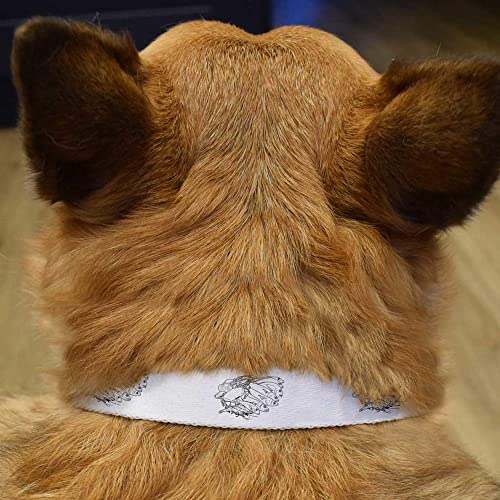  Azeeda Small 'Seafood Selection' Dog Collar (PR00038585)