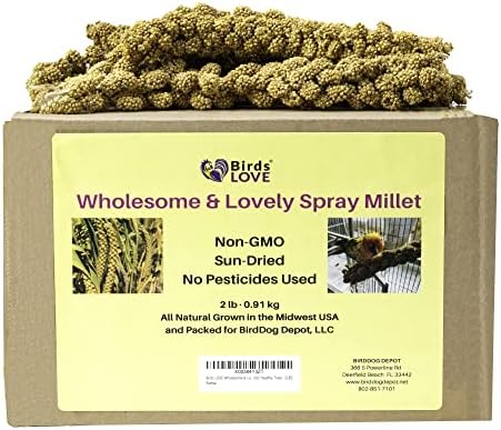  Birds LOVE Wholesome & Lovely Spray Millet Non-GMO No Pesticide (No Stems Only Edible Tops) For Parrots Birds Cockatiel Lovebird Keets Finch Canary All Parrots Healthy Treat-5lbs…
