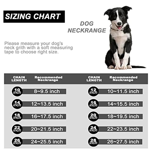  PRADOG Gold Chain Dog Collar With Zirconia Buckle Stainless Steel Chain Collars Cuban Link Dog Collar Designer Bling Puppy Necklace (10mm, 18")