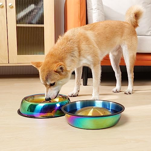 LEOWOW Rainbow Color Stainless Steel Cat Bowl Water & Feeder Bowls 2 In 1 Slow Feed Bowl For Small/Medium Cats/Dogs With Non-Skid Rubber Base, 9.5 Oz /280ml Capacity Each (Set Of 2)