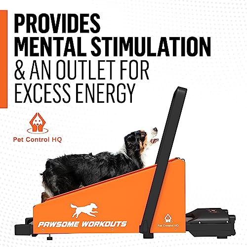  Dog Treadmill Fitness Workout Equipment - Pet Indoor Training For Small And Medium Size Dogs