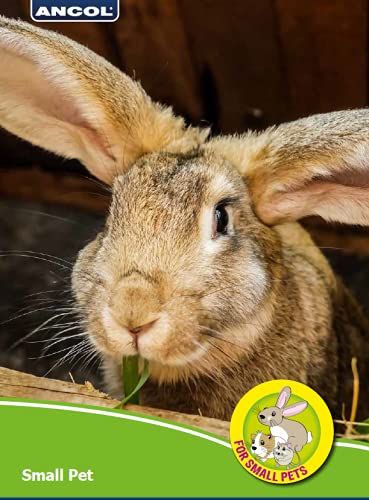  Ancol Small Animal Treat Ball