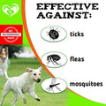  Beloved Pets Flea And Tick Prevention Chewable Pills For Dogs - Revolution Oral Flea Treatment For Pets - Pest Control & Natural Defense - Chewables Small Tablets Made In USA… (Bacon)