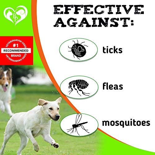  Beloved Pets Flea And Tick Prevention Chewable Pills For Dogs - Revolution Oral Flea Treatment For Pets - Pest Control & Natural Defense - Chewables Small Tablets Made In USA… (Bacon)