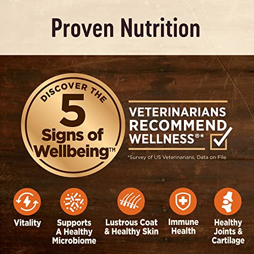  Wellness CORE Digestive Health Dry Dog Food With Wholesome Grains, Highly Digestible, For Dogs With Sensitive Stomachs, Made In USA With Real Chicken (Adult, 4-Pound Bag)