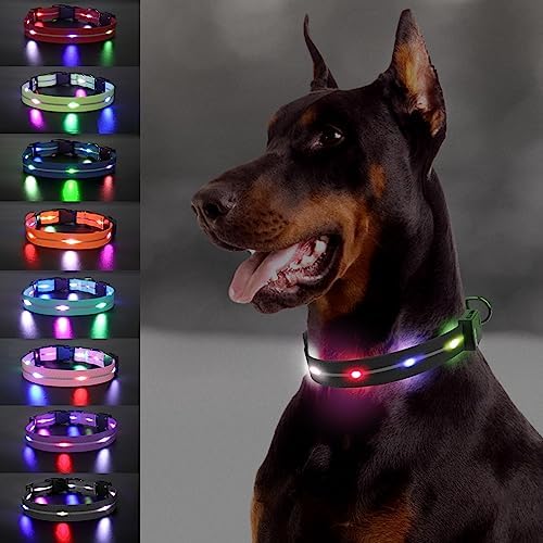  Joytale Light Up Dog Collars Rechargeable, High Visibility LED Dog Collar for Pet Night Walking, 3 Flash Modes, Rainproof PVC Glow Collar Adjustable for Small Medium Large Dogs, Teal, L