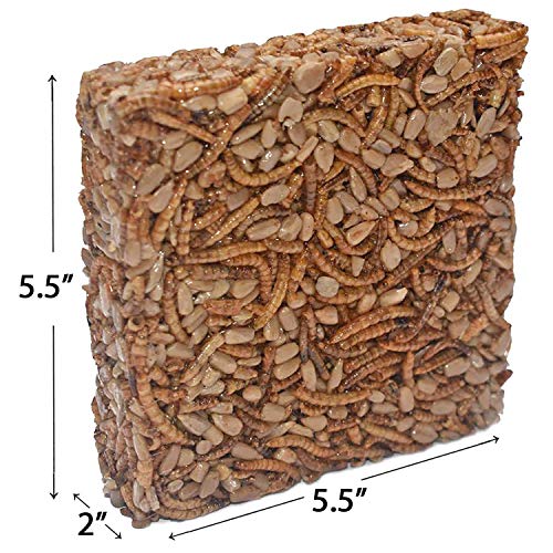  Exotic Nutrition Mealworm & Sunflower Pie - Healthy Natural Suet Basket Feeder Treat - For Backyard Chickens And Wild Birds