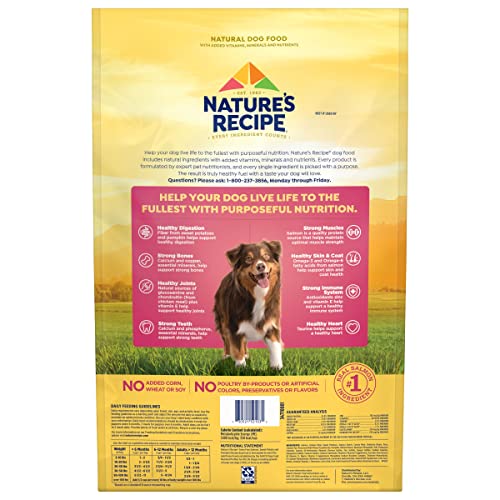  Nature's Recipe Grain Free Dry Dog Food, Salmon, Sweet Potato & Pumpkin Recipe, 12 Pound Bag, Easy To Digest