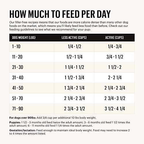  The Honest Kitchen Whole Food Clusters Grain Free Beef Dry Dog Food, 20 Lb Bag