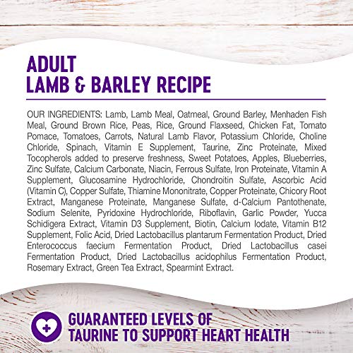  Wellness Complete Health Dry Dog Food With Grains, Natural Ingredients, Made In USA With Real Meat, All Breeds, For Adult Dogs (Lamb & Barley, 5-Pound Bag)