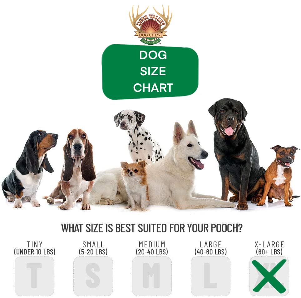  Deer Valley Dog Chews - XL & Robust 3 Pack (1lb) For Large Dogs (40-100 Lb) - All-Natural, Odor-Free Dental Treats For Healthy Teeth And Gums (Value Pack)