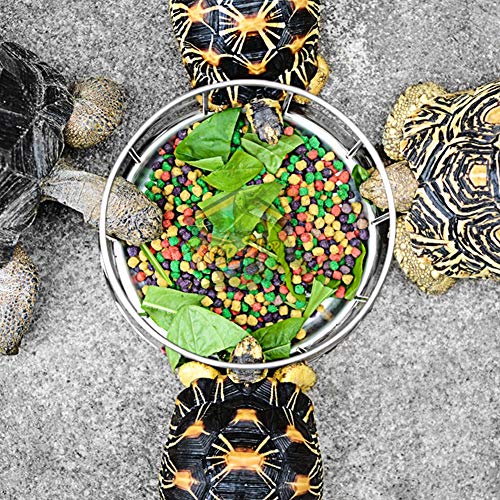  Tortoise Feeding Dish, Stainless Steel Reptile Water Dish Food Bowl For Tortoises Lizards Turtles Chameleon(L)