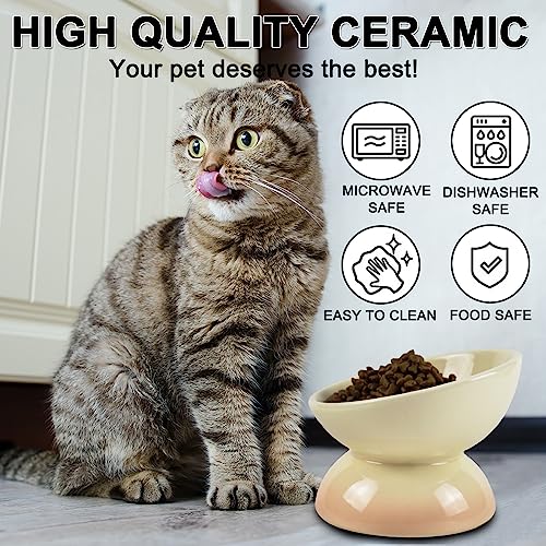  Ceramic Raised Cat Bowl, 15° Tilted Elevated Cat Food Or Water Bowl For Cats And Small Dogs, Anti-Vomiting Cat Dish Stress Free Cat Feeder, Pink