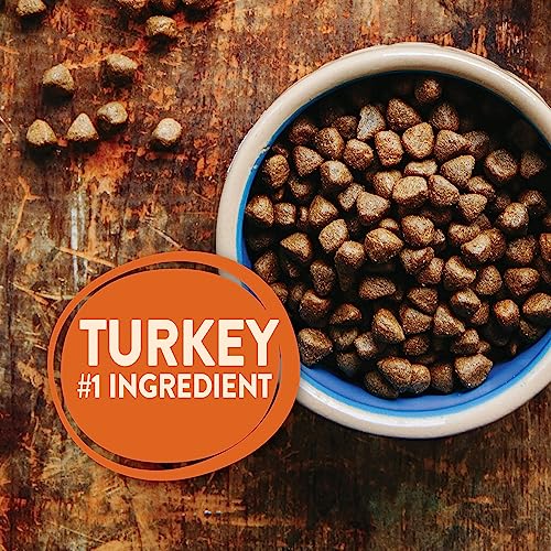  Wellness CORE Grain-Free Senior Dry Dog Food, Made In USA With Real Turkey And Natural Ingredients, With Nutrients For Immune, Joint, Skin & Coat Support, 24-Pound Bag