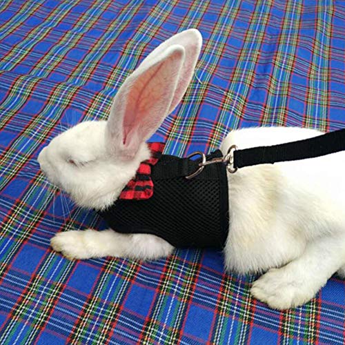  XxiaoTHAWxe Pet Leash Traction Rope, Small Animal Rabbits Hamster Vest Harness Walking Soft Bowknot Mesh Chest Strap For Walking Training Running - Black L