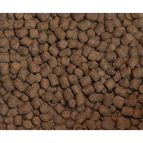  Wysong Ferret Epigen 90 Digestive Support - Dry Ferret Food - 5 Pound Bag